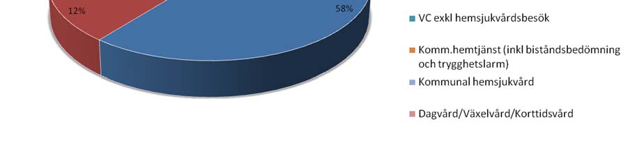 I intervjuerna med de äldre och anhöriga framkommer att bemötande sällan är ett problem. De önskar en ansvarig läkare, som har ansvar för att hålla samman alla vårdinsatser.