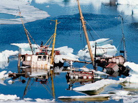 Inom ramen för International Arctic Science Committee (IASC) och Arktiska rådets nätverk Sustaining Arctic Observing Networks (SAON) förvaltas till exempel viktig kunskap.