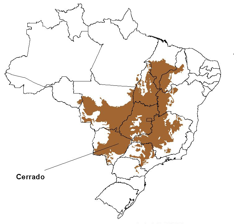 Cerrado upptar mer än 200 miljoner hektar i