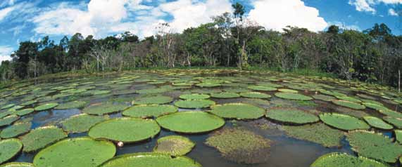 2.9 Våtmarkskonventionen Formellt namn Konvention om våtmarker av internationell betydelse i synnerhet såsom livsmiljö för våtmarksfåglar Ramsar Convention on Wetlands of International Importance
