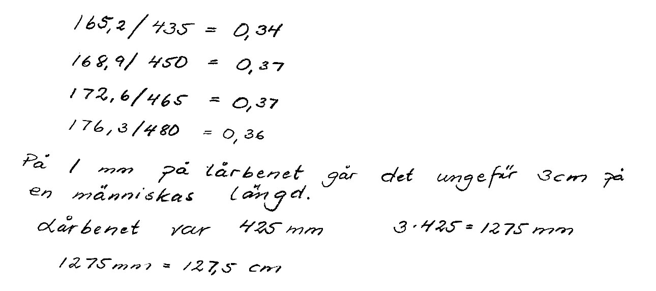 Bedömda elevarbeten till