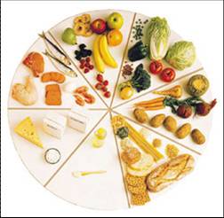 Matcirkeln Matcirkeln är ett hjälpmedel för att få variation på maten. Varje grupp i matcirkeln innehåller olika typer av livsmedel och näringsämnen.
