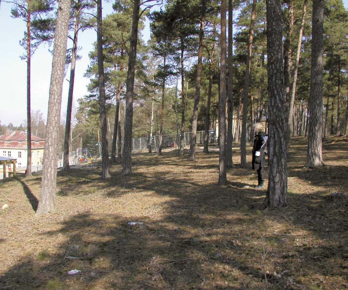 På västsluttningen skall husen placeras ut varsamt mellan träden, för att behålla den trädbevuxna backe som bildar fond från Söderby Torgs allé.