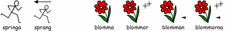 Tempus, plural och bestämd form: För den som har behov av grammatiskt stöd kan man välja att visa