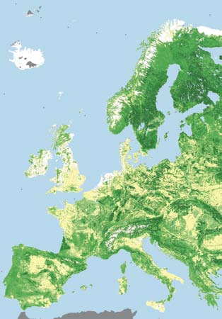 Det gröna guldets land Finland ett mycket grönt land sett ur ett fågelperspektiv. Jämfört med de andra europeiska länderna finns det mest skog i Finland. Skogar täcker tre fjärdedelar av landarealen.