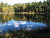 Skogsbrukets utvecklingscentral Tapio utvecklar skogscentralernas landsomfattande