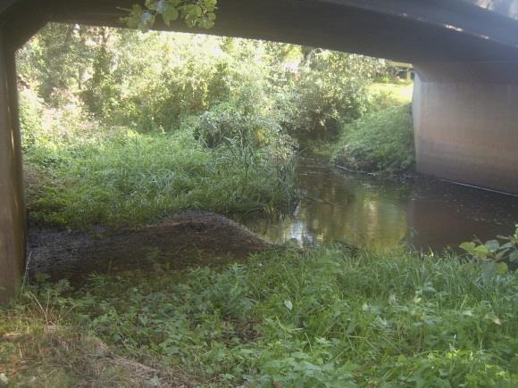 Sträcka 5 Längd: 305 m Medelbredd: 3,0 m Medeldjup: 0,5 m Botten: Grovdetritus och grus Strömförhållande: Strömmande Skuggning: >50% Död ved: Liten förekomst Fysisk påverkan: Kraftig Öringbiotop:
