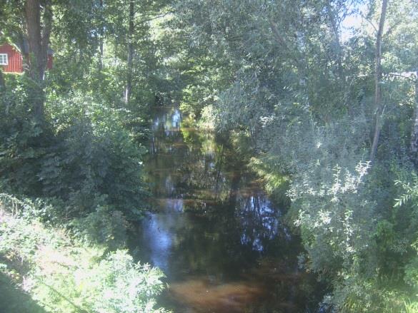 Sträcka 9 Längd: 399 m Medelbredd: 5 m Medeldjup: 0,7 m Botten: Grov-/findetritus Strömförhållande: Svagt strömmande Skuggning: >50% Död ved: Liten förekomst Fysisk påverkan: