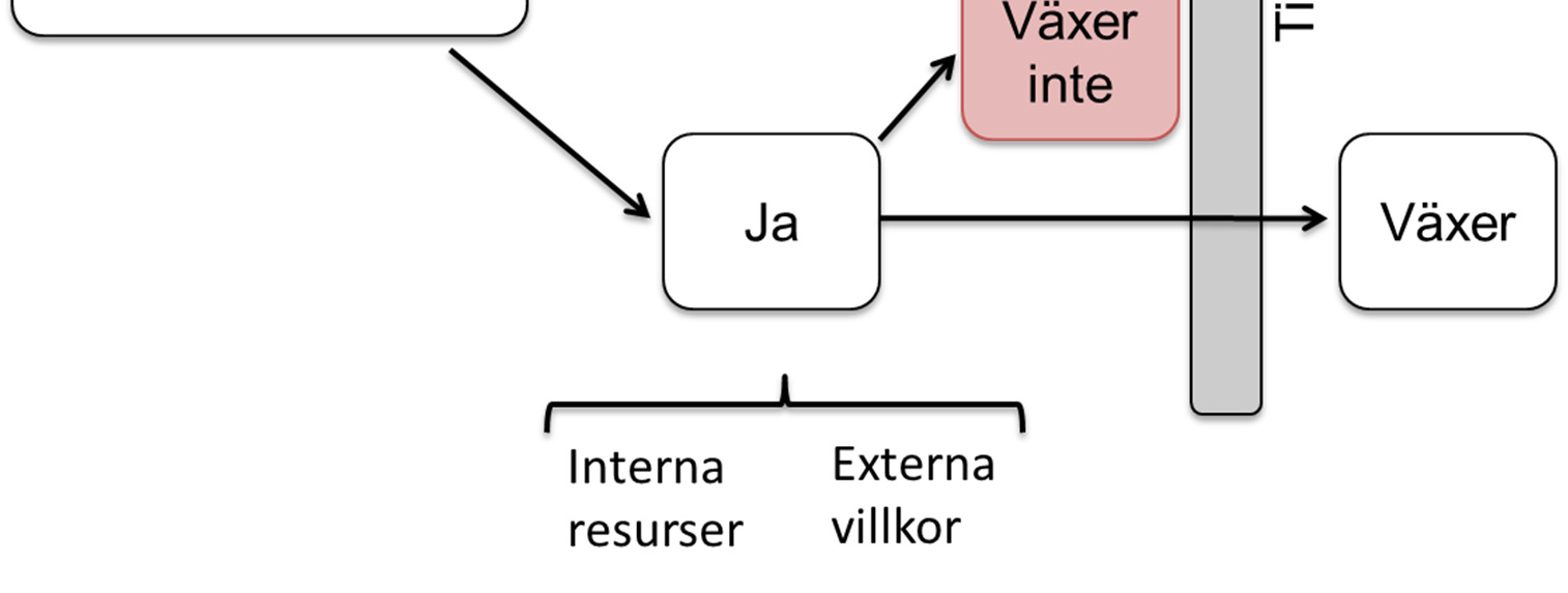 I detta sammanhang är det viktigt att notera att företagstillväxt både kräver en vilja att växa, samt möjligheter att göra det (Davidsson, 1991; Coad, 2009).