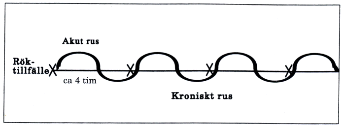 När det kroniska ruset har blivit dominerande ser det ut så här: Det kroniska rusets smygande tillväxt avspeglas i en långsam förändring i vårt psyke, så att om man inte vet att personen röker