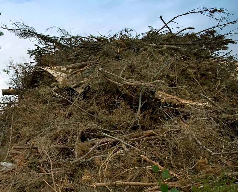 Några av de nationella miljökvalitetsmål som kan påverkas är: Begränsad klimatpåverkan Bara naturlig försurning Ingen övergödning Levande skogar Giftfri miljö Uttag av skogsbränsle kräver hänsyn och