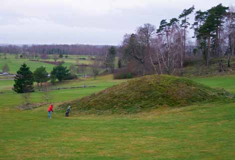 Kulturvärden En stor del av våra golfbanor ligger på gammal kultur- och jordbruksmark och de flesta har lämningar från äldre tider.