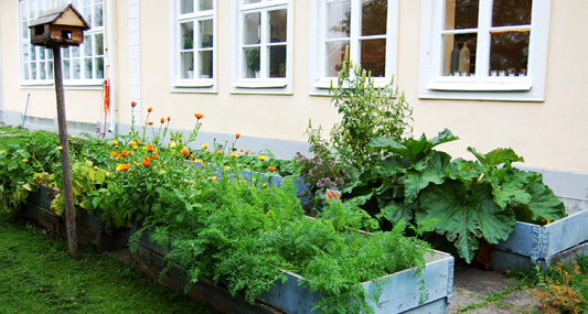 SKOLANS UTEMILJÖ Att skapa och använda skolträdgården året runt Ann Stolsner arbetar som fritidspedagog vid Kulans fritidshem, Hisingstorpsskolan i Jönköping.