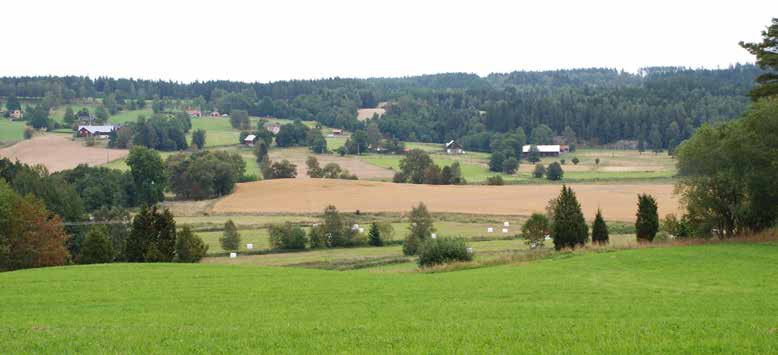 tressant. Byn i odlingslandskapet bör bevaras. Åsens by är landets första kulturreservat och skyddas av reservatsbestämmelserna. Haurida kyrkby är ett utmärkt exempel på en kyrkby.