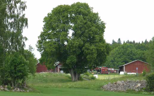 Noån Noån är drygt 5 km lång och förbinder sjöarna Noen och Ralången i kommunens norra del. I ån finns en förhållandevis stark utterstam, vilket är ovanligt i södra Sverige.