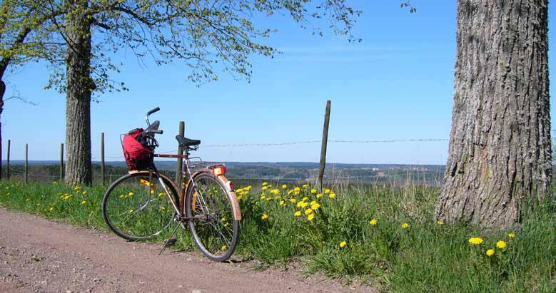 Cykelplan Aneby kommun har i dag väghållningsansvaret för cirka 17 km gångoch cykelväg, varav en klar majoritet ligger i eller i direkt anslutning till huvudorten.