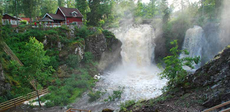 Djursjukdomar Det är inte bara människor som drabbas av klimatförändringarna, även djur och olika ekosystem, särskilt de artfattiga, kommer att påverkas.