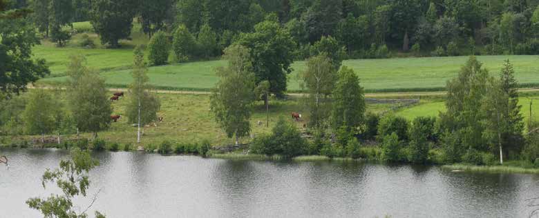 län följer det numer nedlagda Glesbygdsverkets definition av landsbygd, nämligen områden på ett avstånd om mer än fem minuters bilresa från närmaste tätort om mer än 3000 invånare.