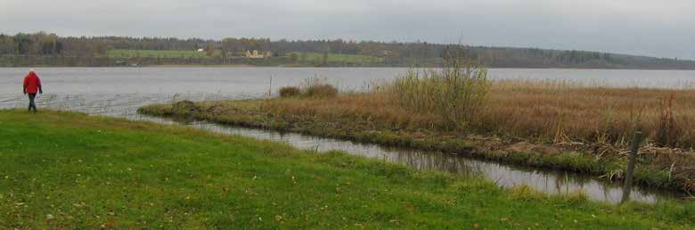 Trots en artrik fiskfauna konstaterar vattenmyndigheten att den biologiska mångformigheten inte kan anses som Aneby kommun förordar Anebysjön som LiSområde trots länsstyrelsens avvikande mening. hög.