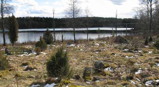 Längs i stort sett hela strandkanten vid sjöns nordvästra kvadrant återfinns betade strandängar bevuxna med enar och enstaka ekar.