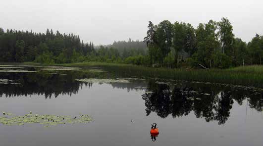 Intrycket av bebyggelsen är en försiktig exploatering med Natur sommarstugeaktiga gammaldags hus. Sjöns flikighet gör dessutom att man i flera utblickar inte känner av bebyggelsen.