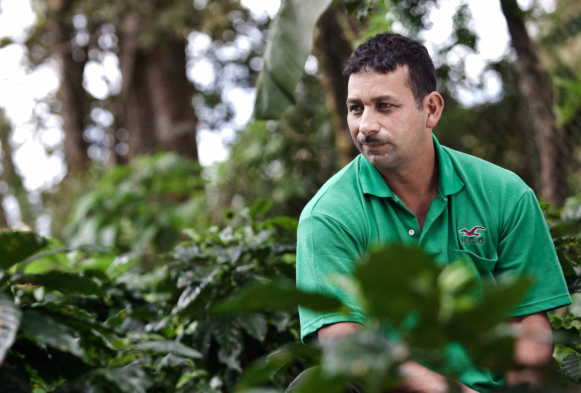 Vad gör olika aktörer åt problemen? Fluktuerande priser kombinerat med negativa effekter av klimatförändringarna drabbar kaffeodlare världen över hårt och hotar att slå ut delar av kaffeproduktionen.
