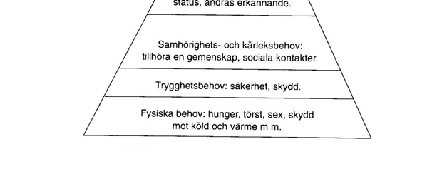 Det andra behovet som är trygghetsbehovet kommer efter att det fysiologiska behovet är tillfredsställt.