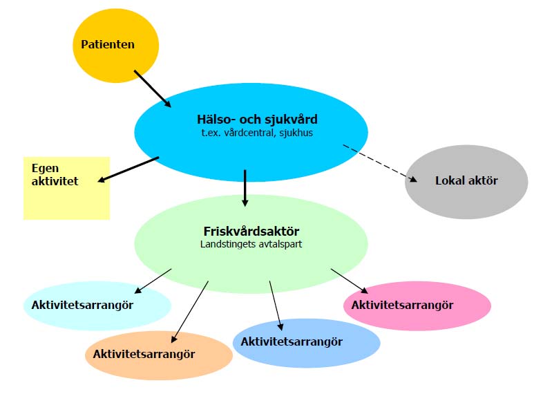 de olika aktörerna (figur 2). De förskrivare som ingår i det aktuella projektet är vårdcentraler, skolsjukvården och ungdomsmottagningen.