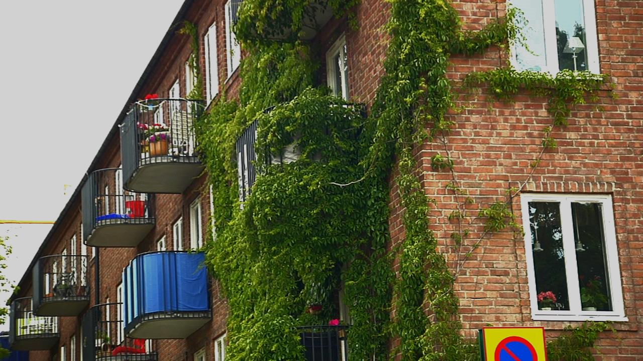 Undersökningsplikten Mäklaren ska skriftligen upplysa en köpare om det ansvar som köparen har för att undersöka objektet. Det gäller både fastigheter och bostadsrätter.