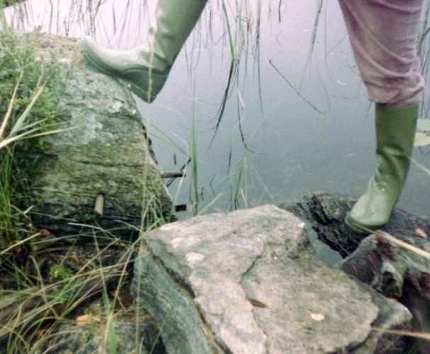 och uppmanade Loobönderna att ta vara på tillfället och köpa in skog. De följde hans råd. På så vis kom Looskogen vid Hälsingen till. En sprängning ägde rum i Fyraviken på 1800-talet.