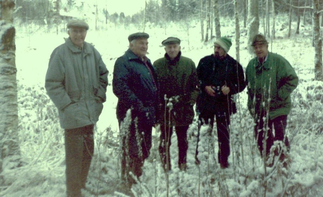 I slutet av 1980-talet var Hälsingsströms såg föremål för diskussion inom Långareds