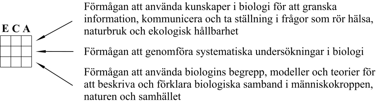 Inledning Hur går bedömningen till? Bedömningsarbetet går övergripande ut på att avgöra i vad mån den enskilda eleven har uppnått de nationella kunskapskraven.