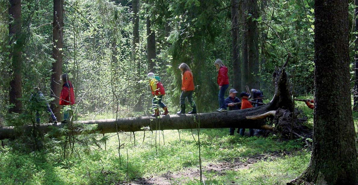 Pedagogiska grundstenar Hur kan lärandet utformas så att det stärker en kunskapsutveckling som gynnar en hållbar utveckling? Sex byggstenar är centrala inom lärande för en hållbar utveckling.