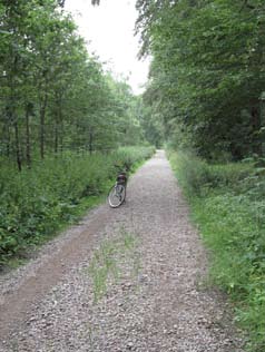 Öster om Eslöv ligger Snärjet. Ett stort, sammanhängande skogsområde en kvarts cykelväg från centrum.