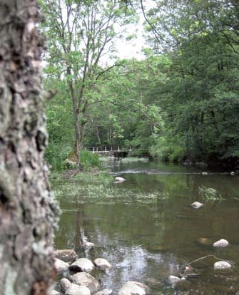 Rönne ås dalgång i kommunens norra delar är vad många anser vara de vackraste naturen i hela kommunen.