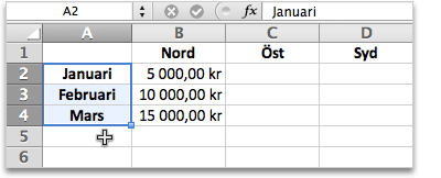 visas nu som en liten pensel och ett vitt kors. Markera cellerna A2, A3 och A4.