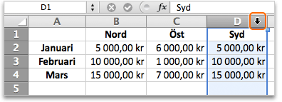 8. Infoga och ändra storlek på kolumner När du skriver in och redigerar data kan du infoga nya kolumner för