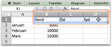 Innan du fort sätter Kontrollera att du kan göra följande: Ange text och numeriska data i kalkylbladsceller. 5.