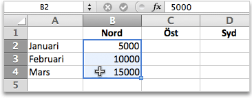 Markera cellerna B2, B3 och B4. Klicka på Valut a under Tal på fliken Start.