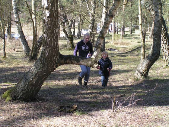 att vistas i natur, plats att samla klasser, variation, tillgänglighet för rörelsehindrade och trygghet samt säkerhet. Enkätundersökning av pedagogernas syn på skolgården.