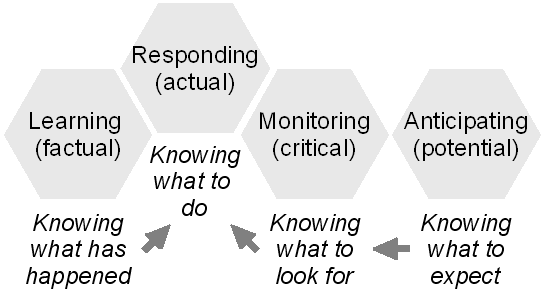 Figure 3: The four qualities of resilience All four qualities depend critically on what kind of model the organisation has about itself, i.e., what it is and what it does, and about the environment in which it exists.