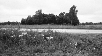 Fig 6. På norra sidan av gamla E4:an finns en rund stensättning och en skålgropsförekomst på detta impediment. Bilden är tagen från vägens södra sida där boplatslämningarna undersöktes, RAÄ 77.