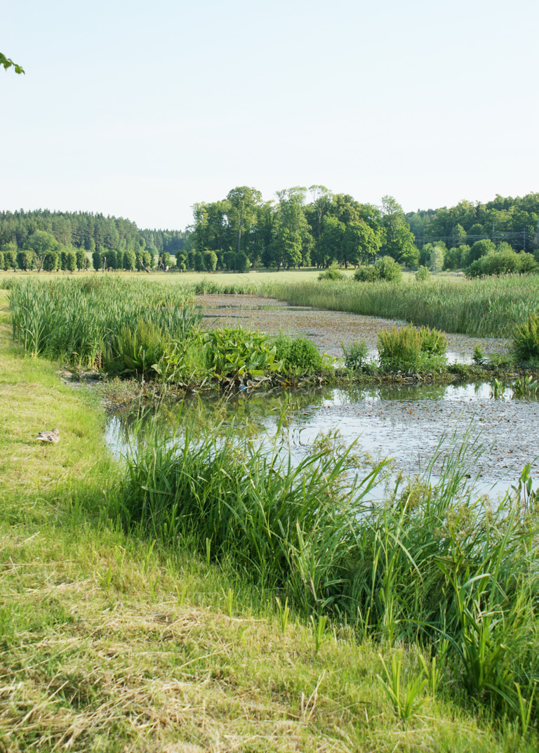 Rapport Nr 2010 06 Förekomst och rening av