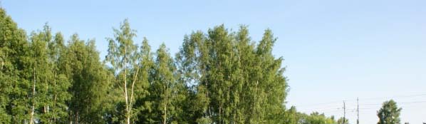 metaller, PCB och övriga ämnen detekterades i
