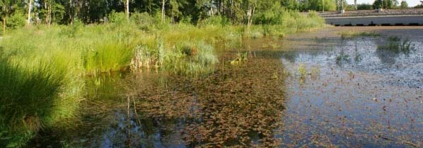 dagvattendammarna, med tillrinningsområden av