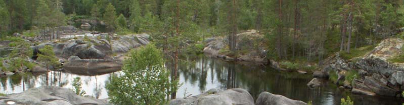 organiska kemikalier.