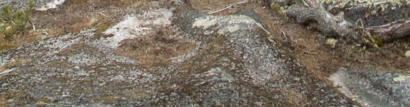 för vattenmiljön För dessa prioriterade ämnen