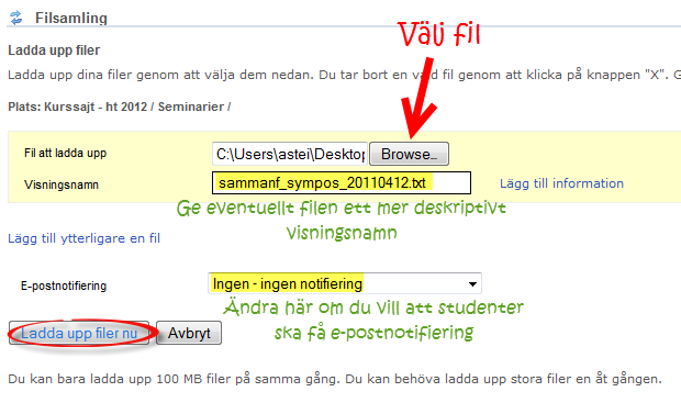 Om filen har ett namn som inte tydligt beskriver innehållet kan du ändra Visningsnamnet till något annat. T.ex.