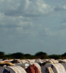 UNHCR som
