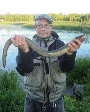 grönling fiskar man bäst i mörkret genom lampfiske, så kallat lirkfiske.